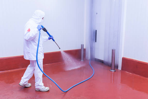 Professional Pressure Washing Services in Wright City, MO